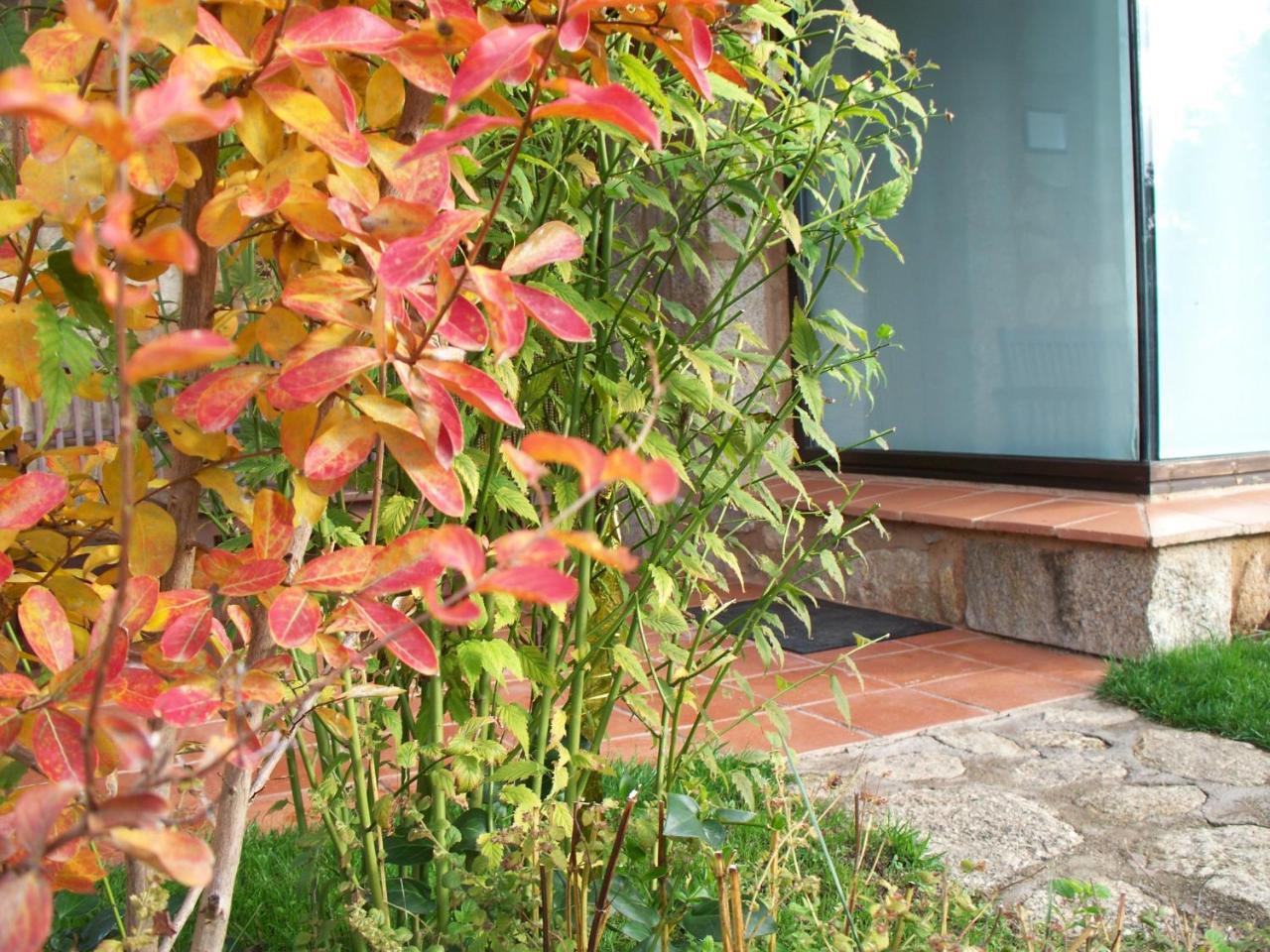 Apartamentos El Roble Valverde de la Vera ภายนอก รูปภาพ